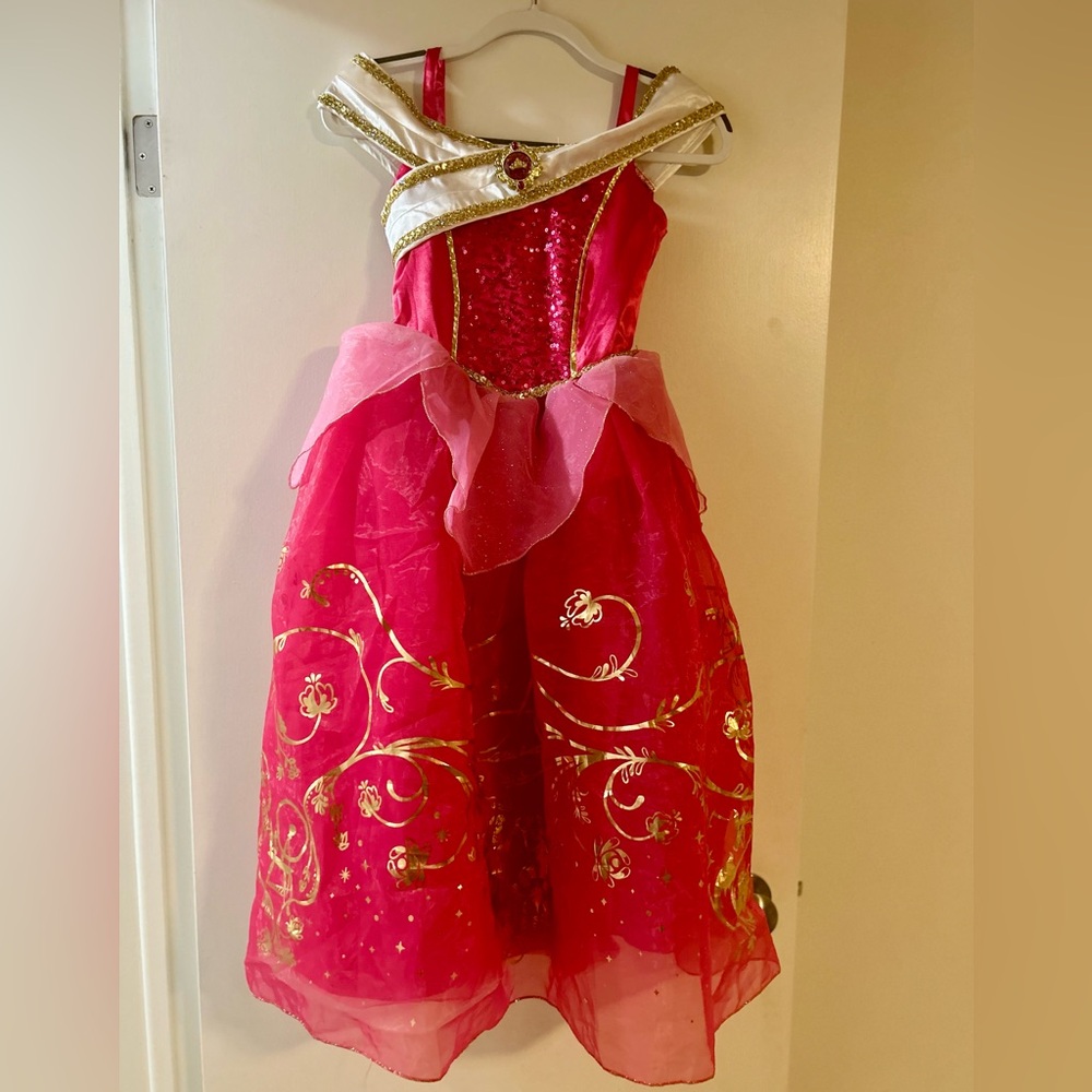 Disney Pink and Gold Princess Dress